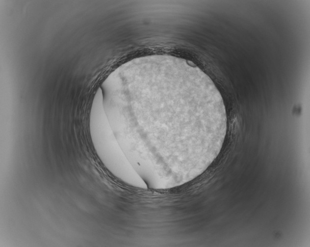 X0000114670772200911181206