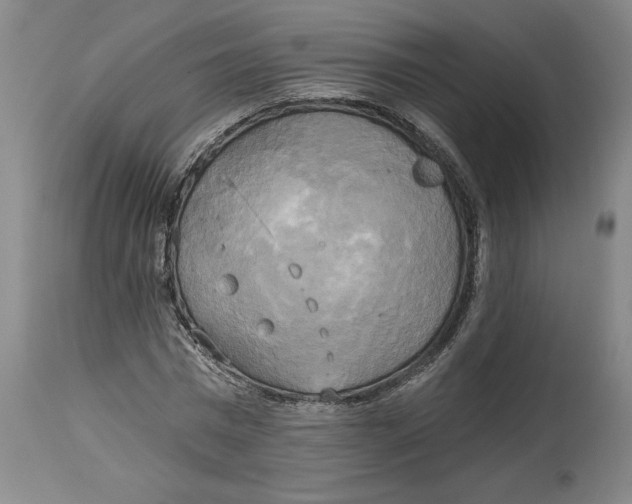 X0000114670777200911181206