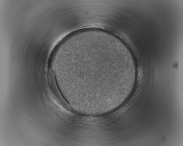 X0000114670780200911181206