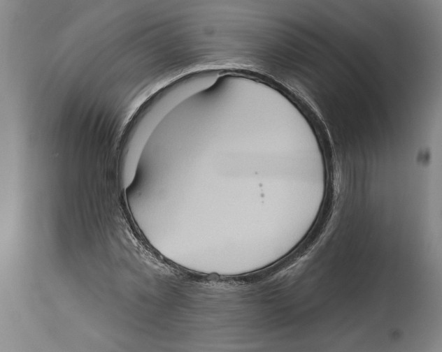 X0000114670781200911181206