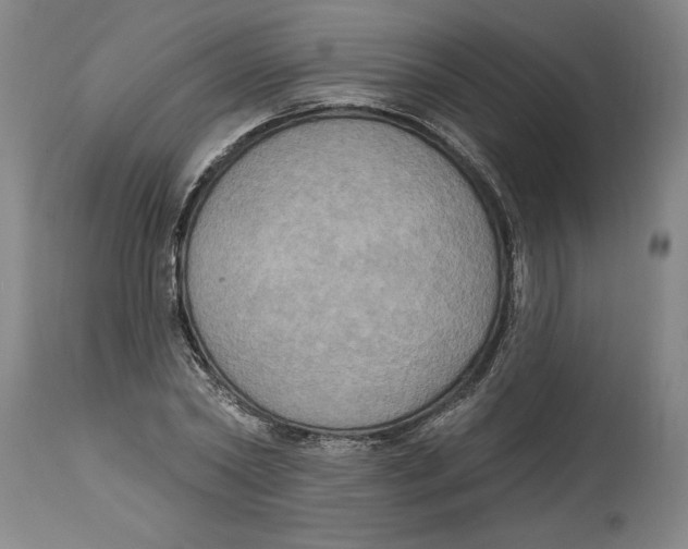 X0000114670782200911181206