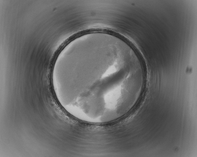 X0000114670783200911181206