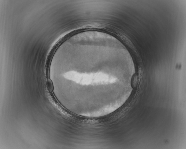 X0000114670784200911181206