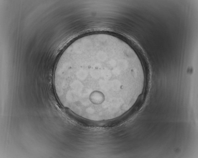 X0000114670785200911181206