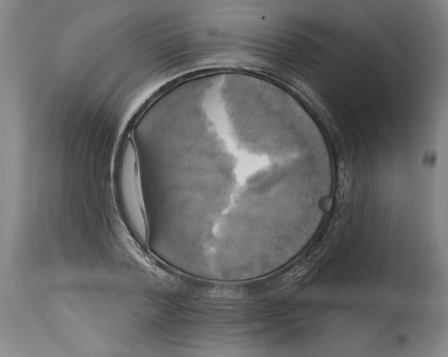 X0000114670788200911181206