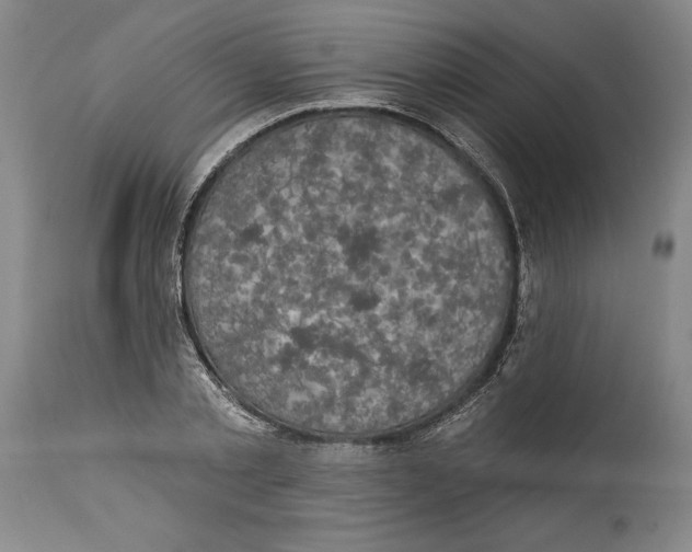 X0000114670789200911181206