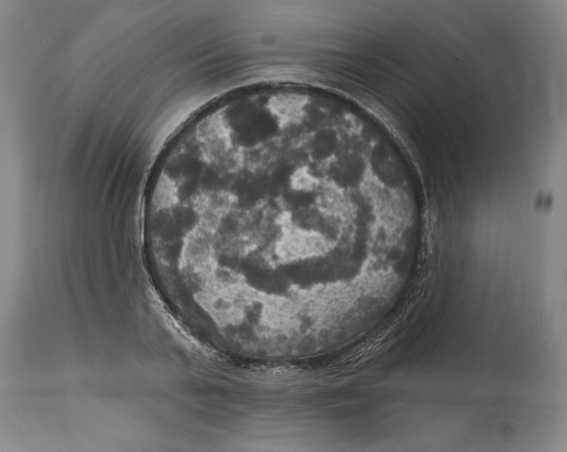 X0000114670791200911181206