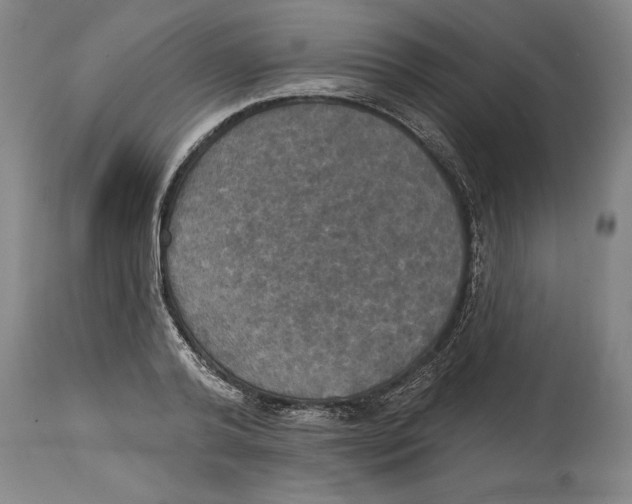 X0000114670792200911181206