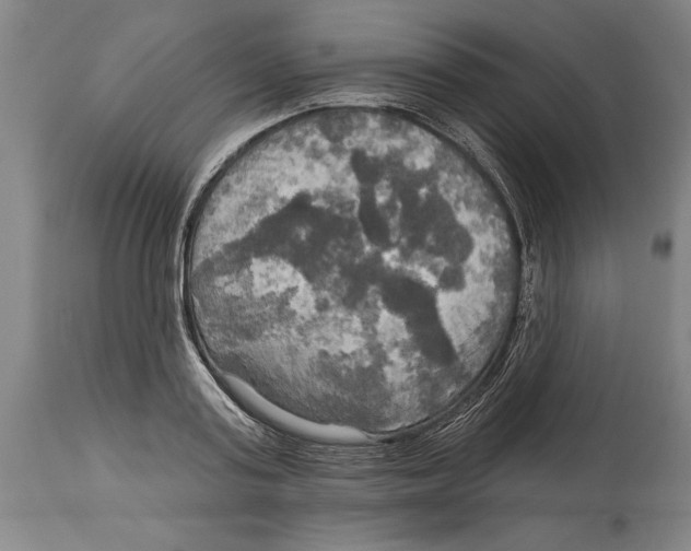 X0000114670795200911181206