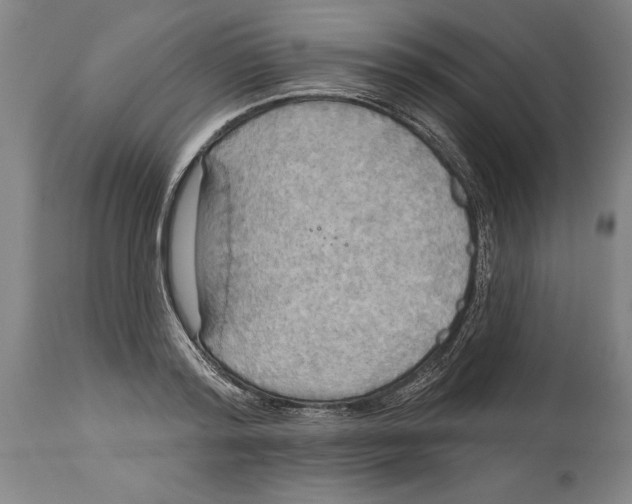 X0000114670796200911181206