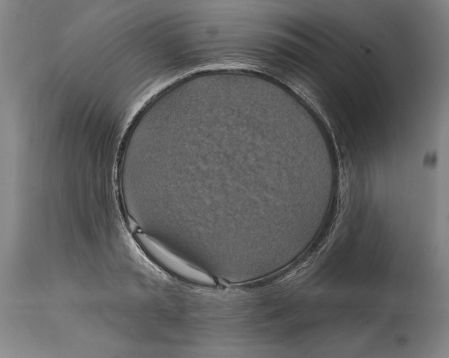 X0000114670797200911181206