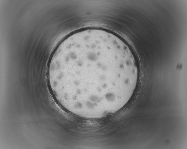 X0000114670799200911181206