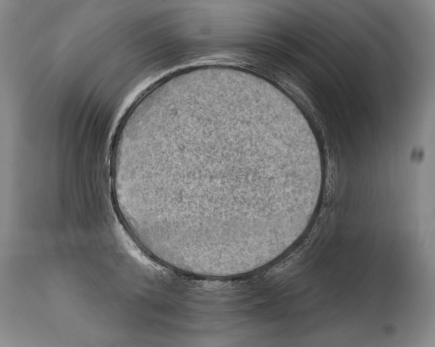 X0000114670800200911181206