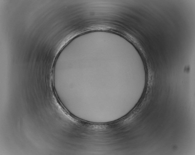 X0000114670802200911181206