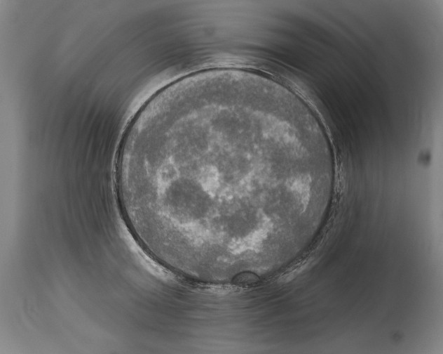 X0000114670803200911181206