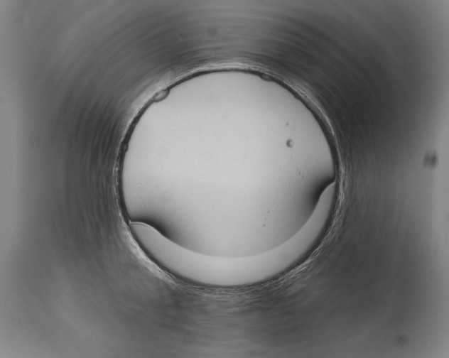 X0000114670805200911181206