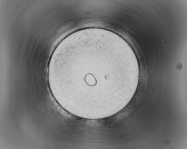 X0000114670807200911181206