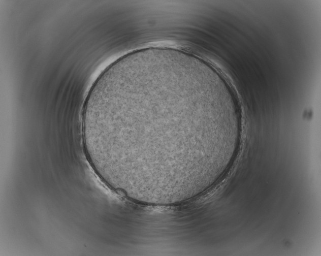 X0000114670808200911181206