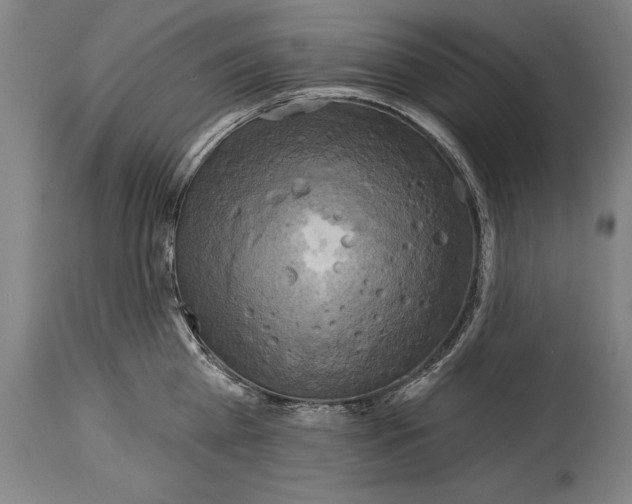 X0000114670809200911181206