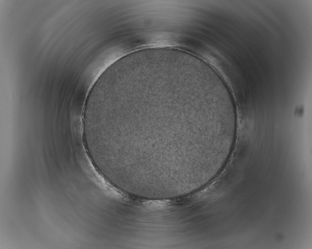 X0000114670810200911181206