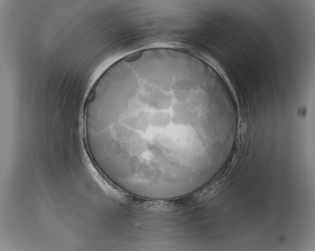 X0000114670811200911181206