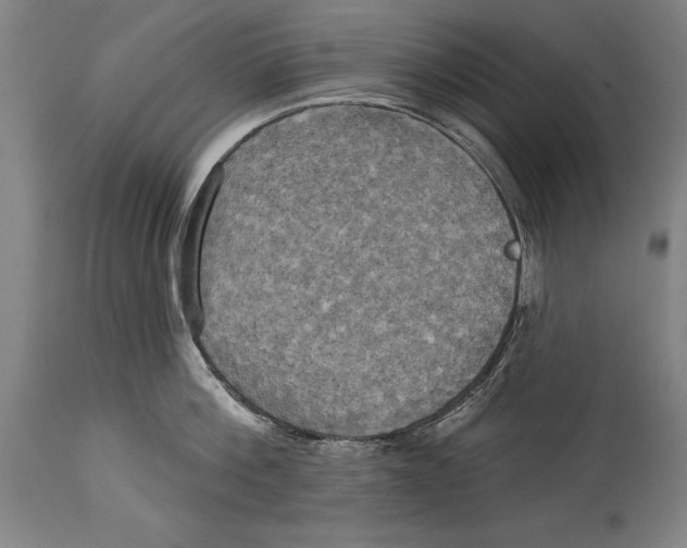 X0000114670812200911181206