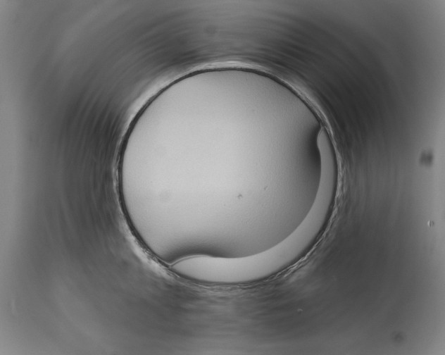 X0000114670813200911181206