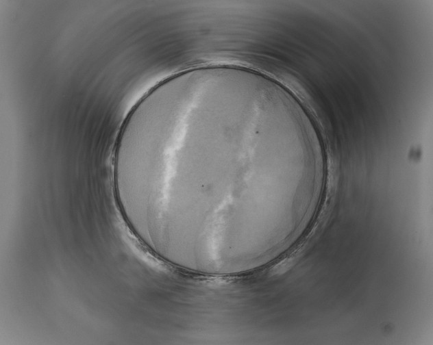 X0000114670814200911181206