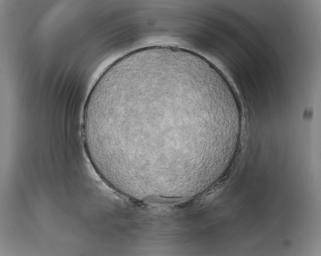 X0000114670815200911181206