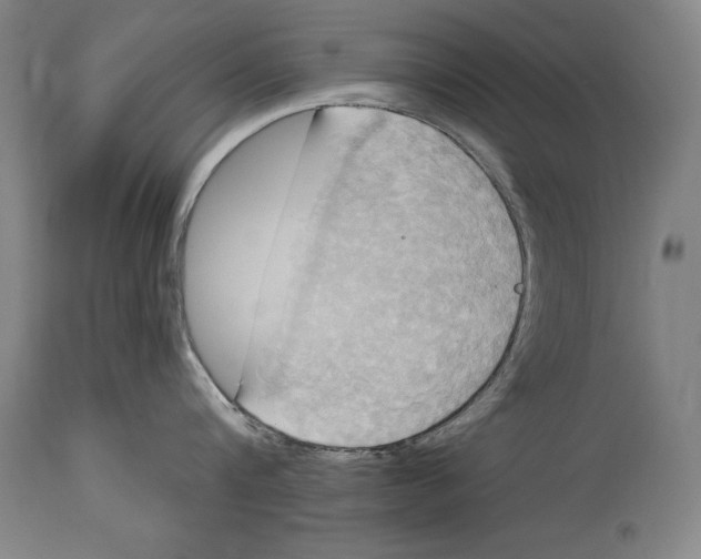 X0000114670816200911181206