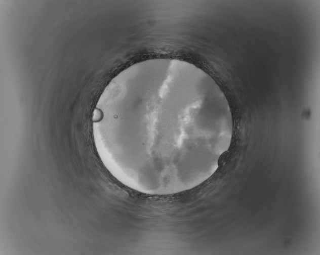 X0000114670817200911181205