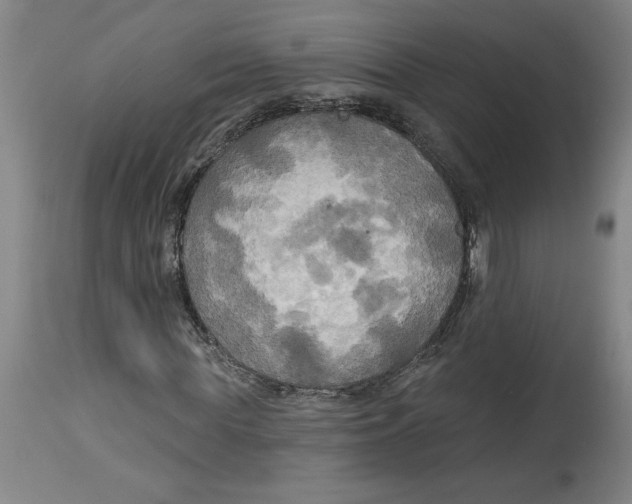 X0000114670819200911181205