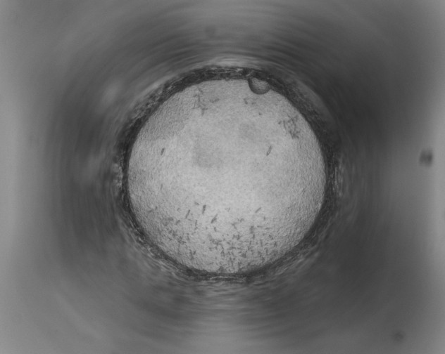 X0000114670821200911181205