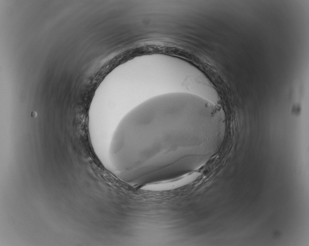 X0000114670822200911181205