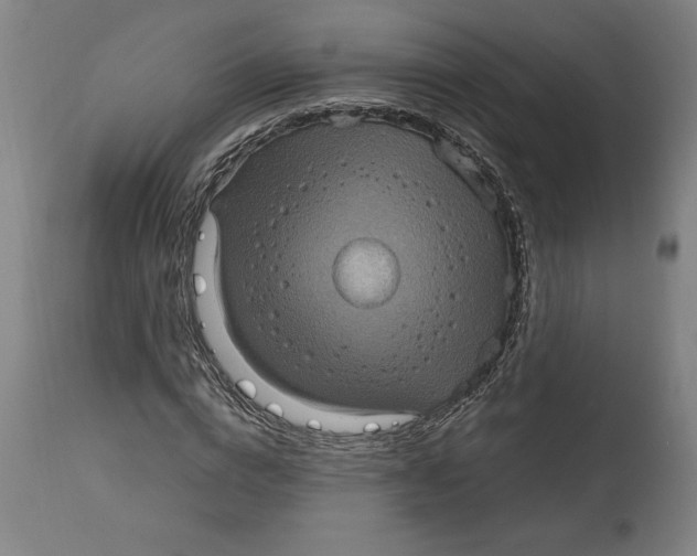 X0000114670824200911181205