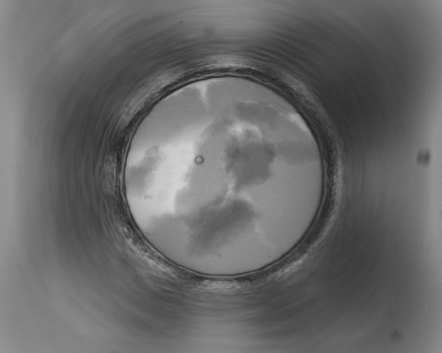 X0000114670825200911181205