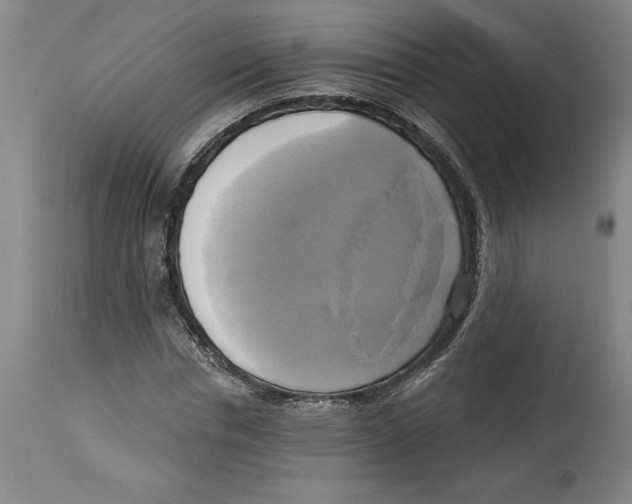 X0000114670826200911181205