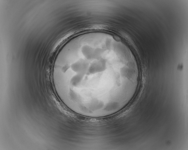 X0000114670827200911181205