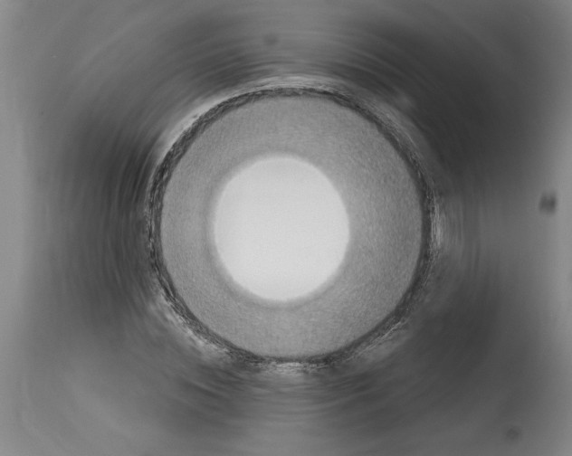 X0000114670828200911181205