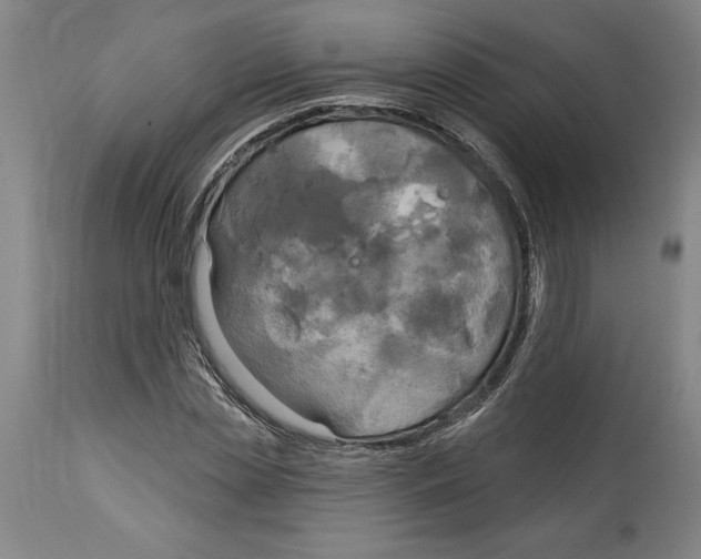 X0000114670829200911181205