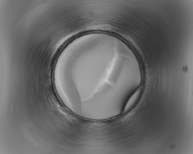 X0000114670830200911181205