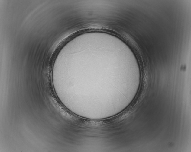 X0000114670831200911181205