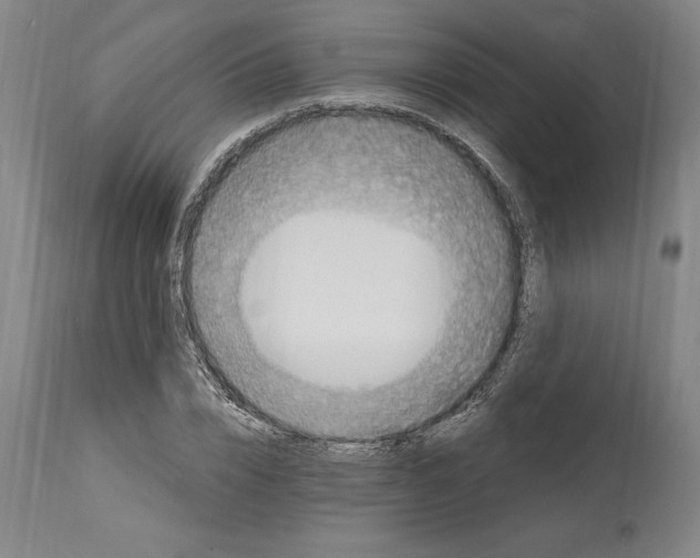 X0000114670832200911181205