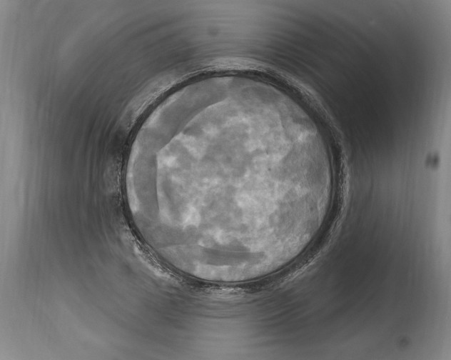 X0000114670833200911181205