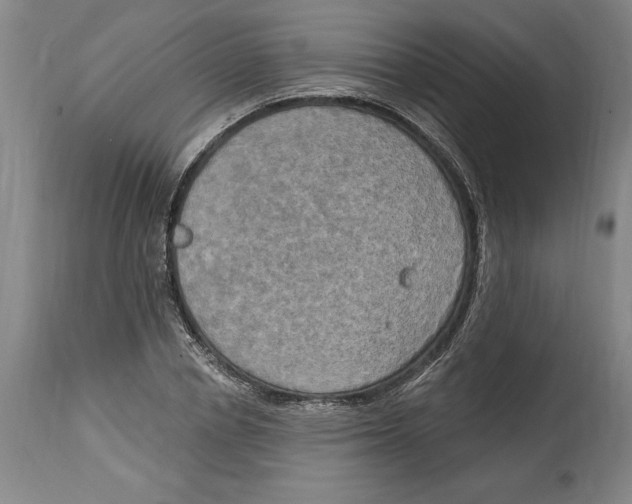 X0000114670834200911181205