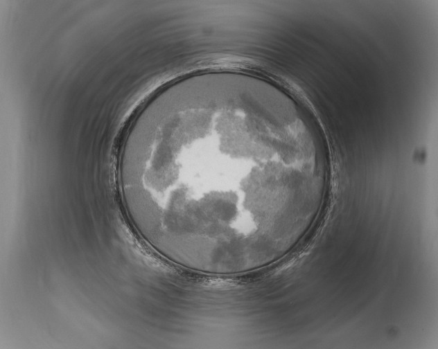 X0000114670835200911181205