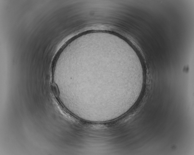 X0000114670837200911181205