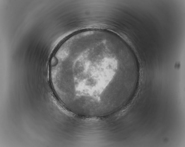 X0000114670838200911181205