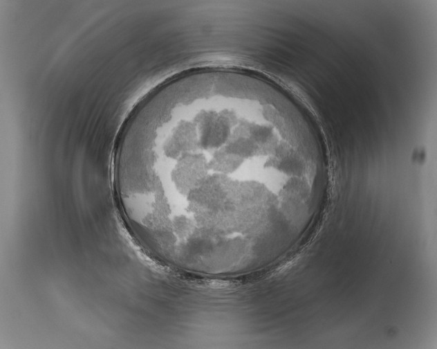 X0000114670839200911181205