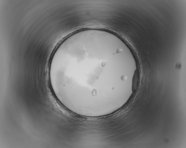 X0000114670840200911181205